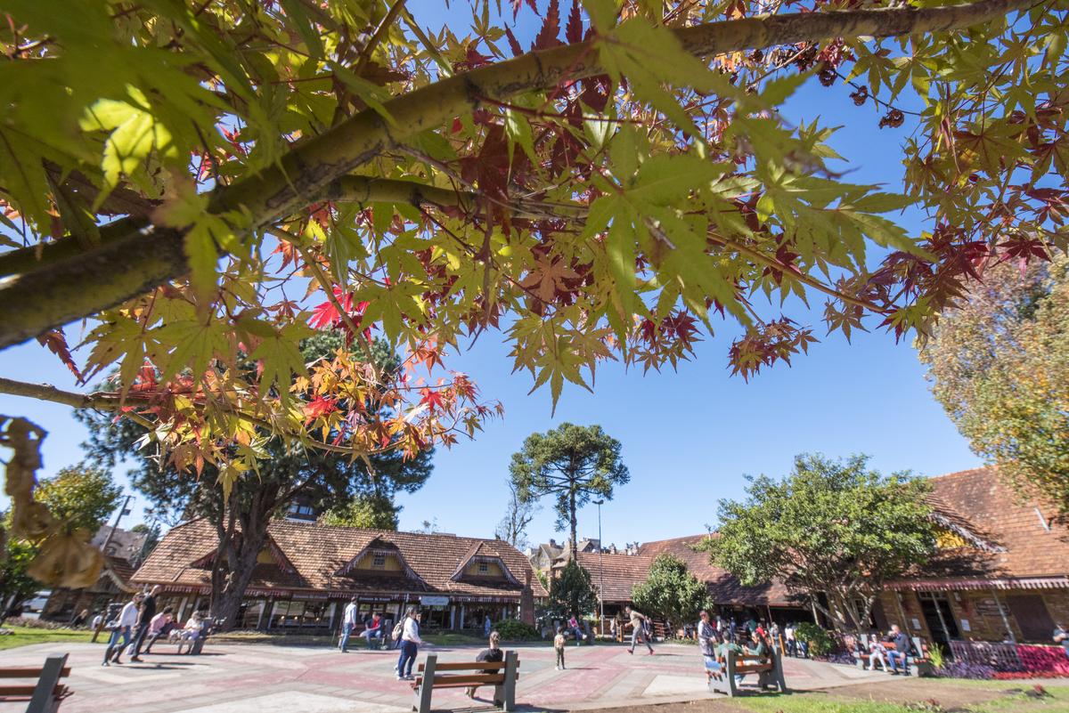 Vista panorâmica de Gramado exibindo imóveis de luxo entre áreas verdes, exemplificando a solidez do mercado imobiliário Gramado.